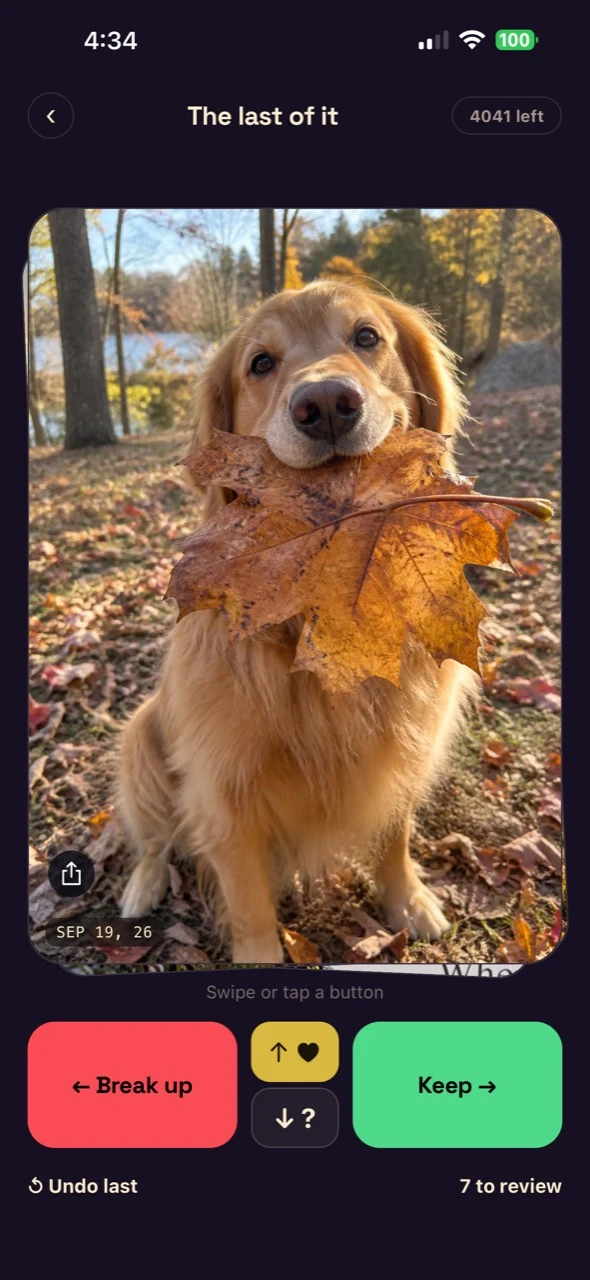 Don't Date Your Photos displaying a golden retriever, with Keep, Break up, Favorite and Maybe controls.
